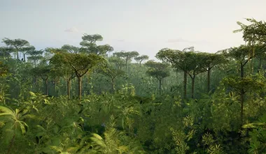 ​The Democratic Republic of Congo to create the Earth’s largest protected tropical forest reserve