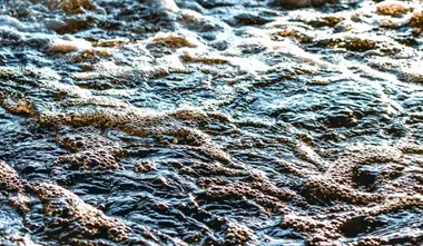 Exxon Valdez