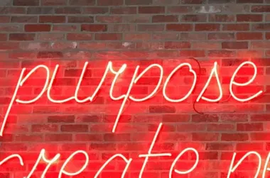 Why purpose?