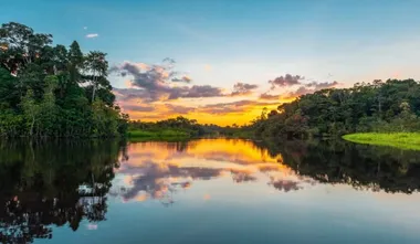 Deforestation in Brazil’s Amazon fell by nearly 50% in 2023 compared to 2022