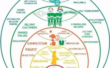 How teal organizations build well-being and resilience