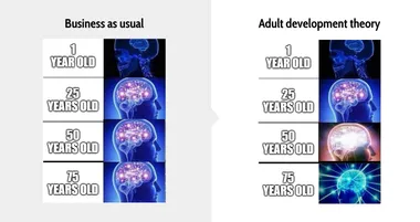 How adult development theory can help us grow and learn throughout our lives