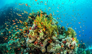 New Caledonia bans ‘dangerous’ seabed mining for half a century