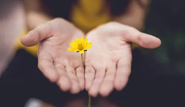 We are not here to heal