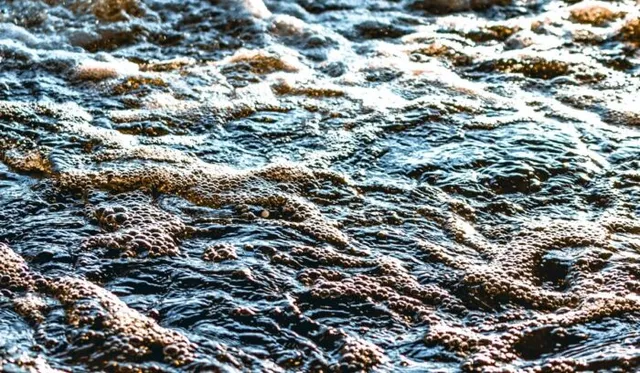 Exxon Valdez