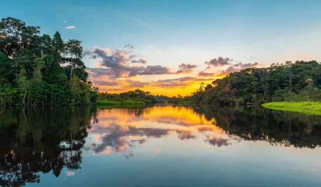 Deforestation in Brazil’s Amazon fell by nearly 50% in 2023 compared to 2022