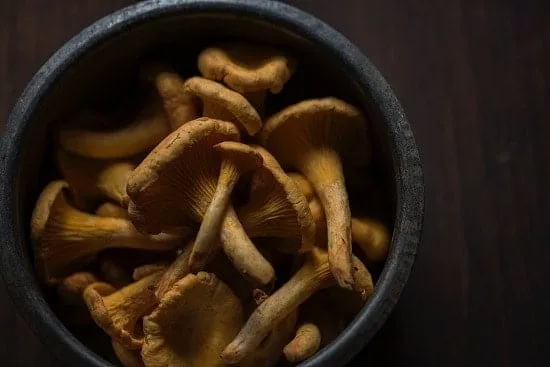 Denver voters approve decriminalizing "magic mushrooms"