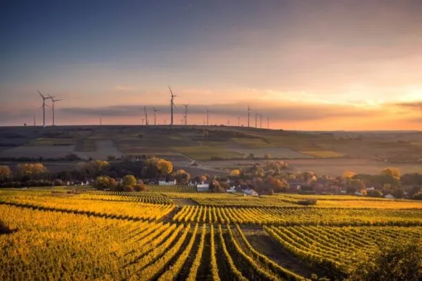 Germany's CO2 emissions predicted to decline remarkably in 2019