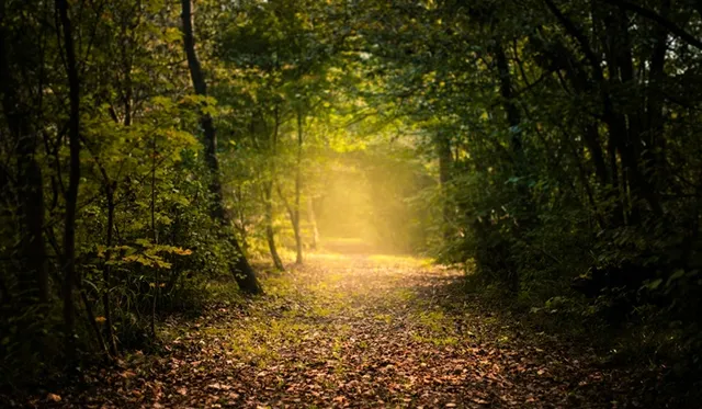 Pain is a path to purpose