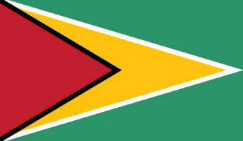 Guyana flag