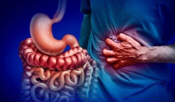 3d illustration of gut and stomach pain