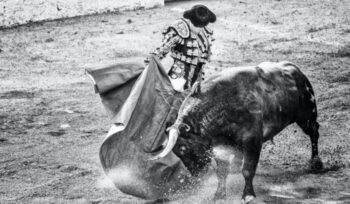 Bull and matador