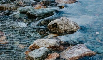 Creek flowing