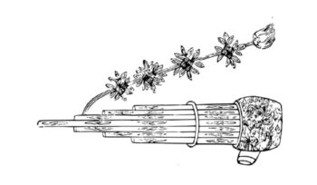 Drawing of sheng instrument