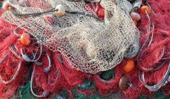 Fishing net