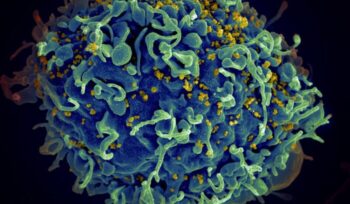 HIV virus up close