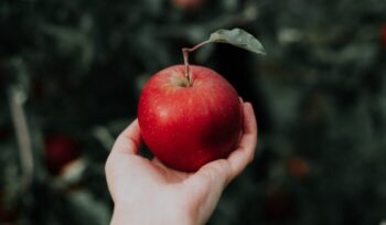 Hand holding an apple