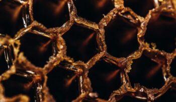 Honeycomb