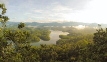 Malaysian landscape