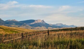 Montana landscape