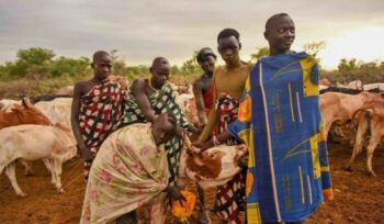 Mursi people with their cattle