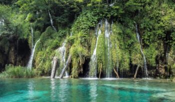 Natural pool in the rainforest