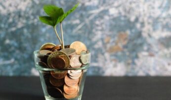 Plant growing out of coins