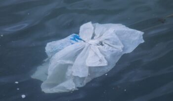 Plastic bag floating in the water|Ocean plastic