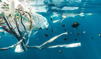 Plastic waste in the ocean