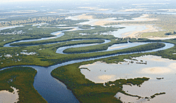 Saloum Delta