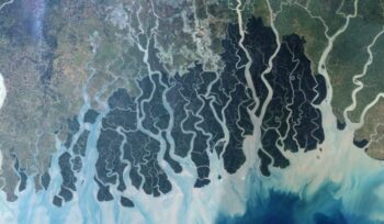 Sundarbans satellite view