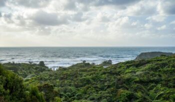 The beach with vegetation in foreground