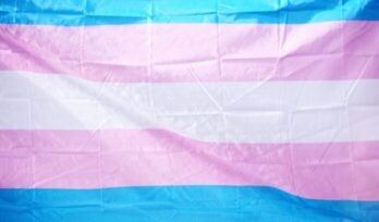 Trans flag