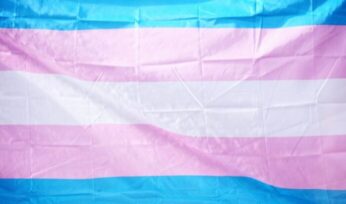 Trans flag