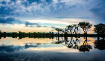 Trees reflected in river