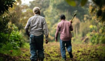 Two farmers walking through a field|koushik das unsplash