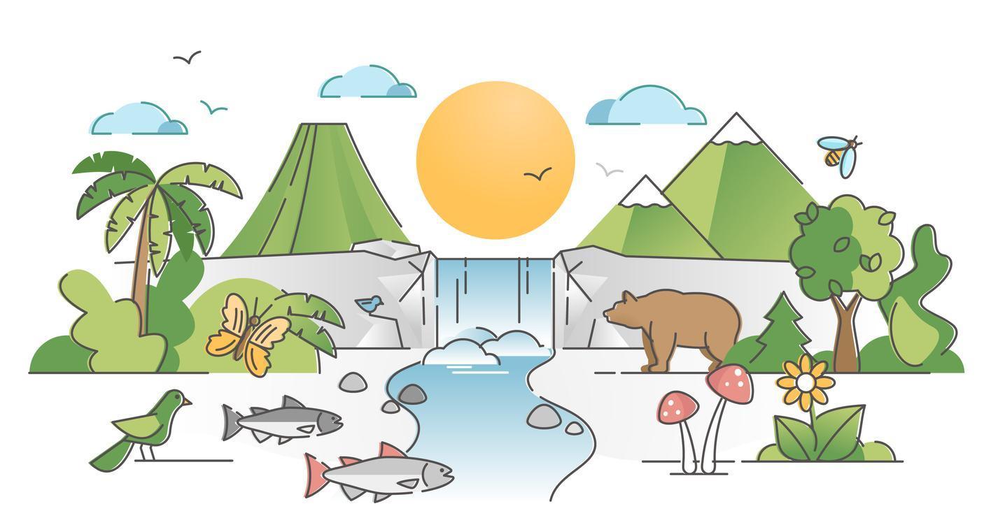 Stock illustration of different species of a forest, representing ecosystem of change agents