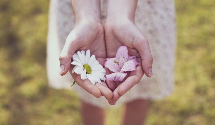 Your gifts to the world