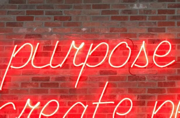 Why purpose?