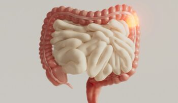 Depiction of intestines