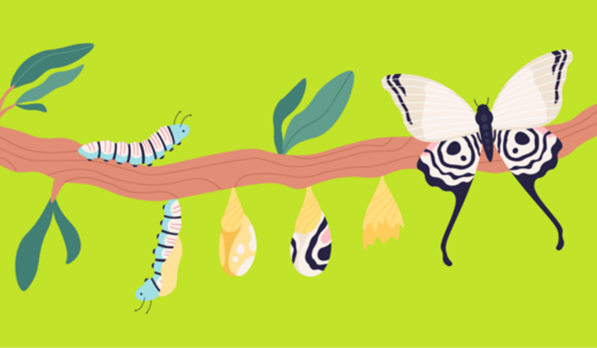 Illustration of caterpillar transforming into butterfly