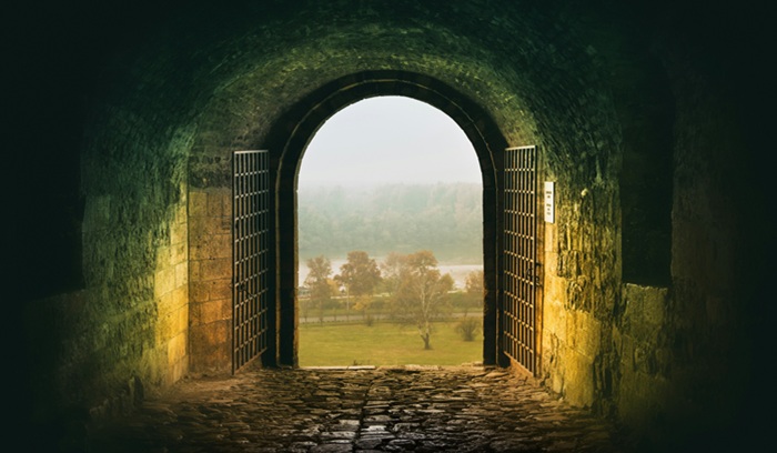 There is no life purpose